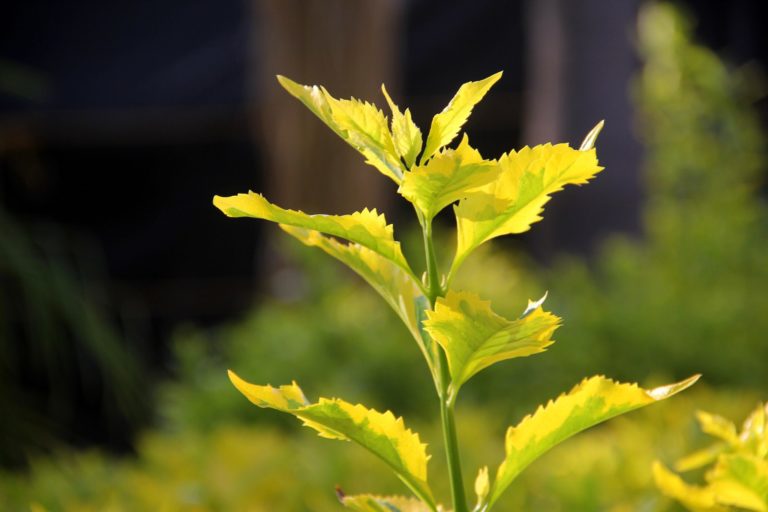 El suelo, base de la vida