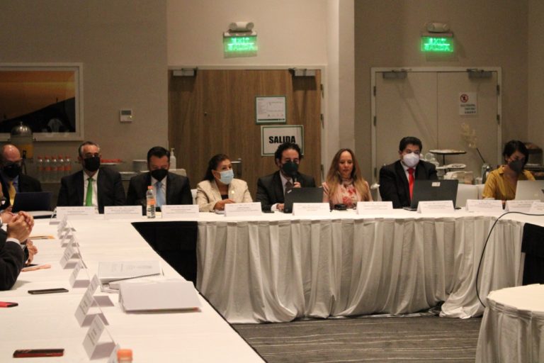 ITEA con reconocimiento internacional en sus labores, por parte de la ONU