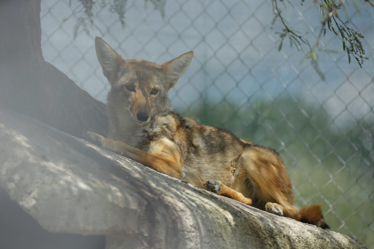 UAA reactiva las visitas guiadas que se ofrecen a través del Proyecto DAN 