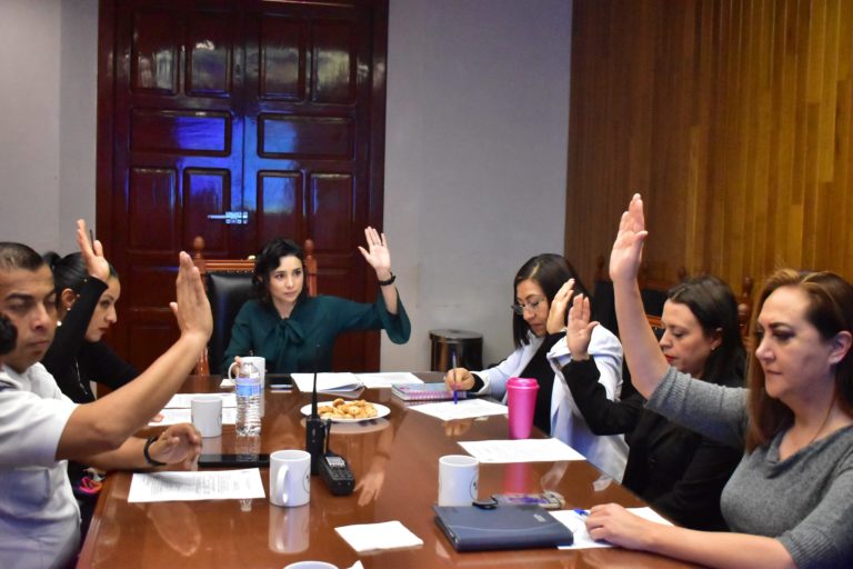 Comisión de Seguridad Pública identifica áreas de oportunidad en emergencias y prevención 