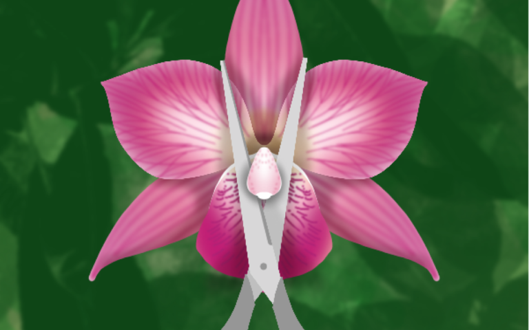 ​​¿Por qué es importante hablar en México de la Mutilación Genital Femenina?