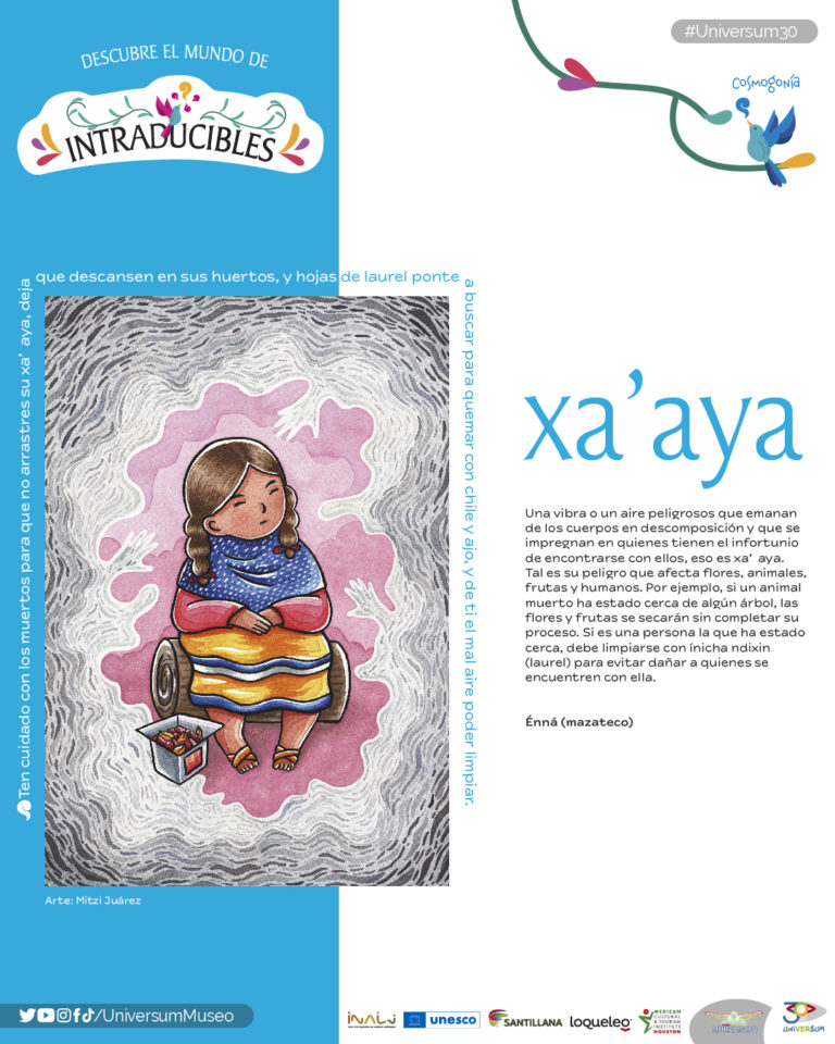 Universum promueve la exposición Intraducibles