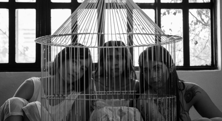 Aves de habitación se estrena en el Teatro Morelos