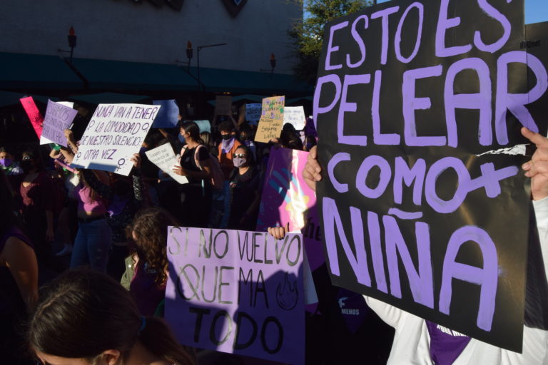 Con marcha oficial “celebra” Calvillo el 8M