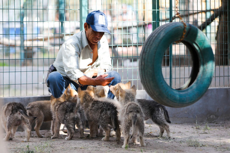 Miles de pesos están siendo invertidos para el rescate del Parque Rodolfo Landeros Gallegos