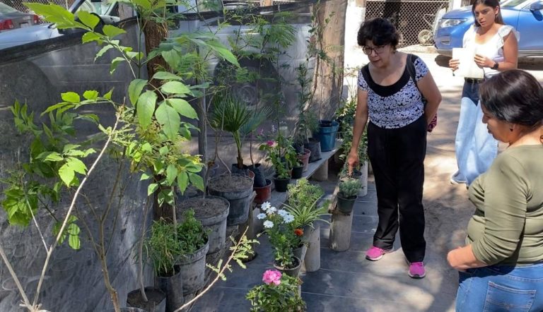 Arrancamos con la temporada de donación de plantas y árboles en los viveros estatales