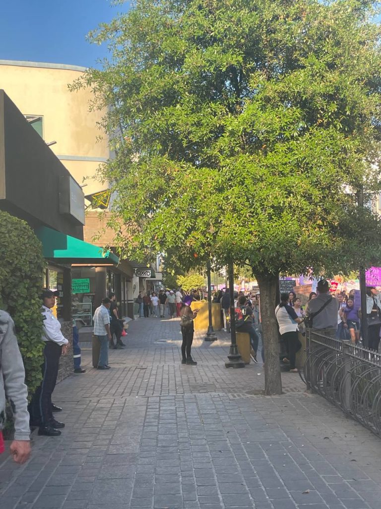 Una propuesta de ecofeminismo liberal