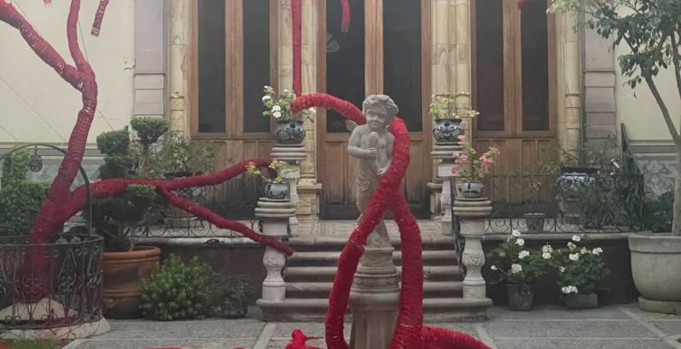 Las caras de la violencia / Por mis ovarios, bohemias