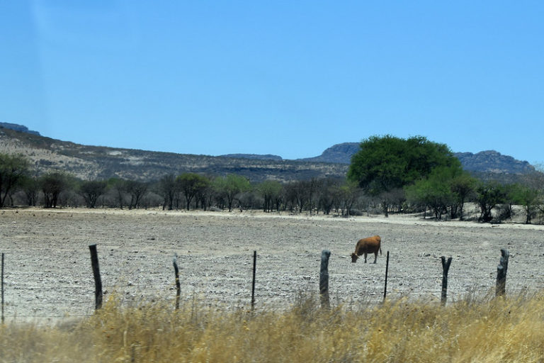 Urge apoyo de la Federación para contrarrestar la sequía en el estado de Aguascalientes