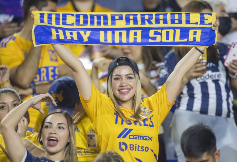 Aprueban en comisiones concesionar terreno para nuevo estadio de Tigres 