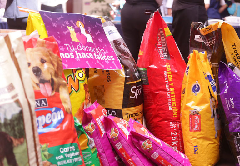 Gobierno del Estado invita a sumarse al primer Croquetón en Aguascalientes