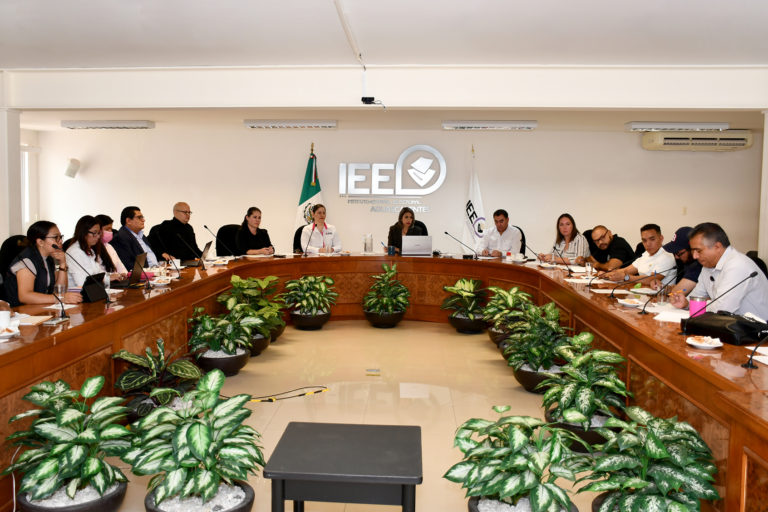 Celebran IEE e INE primer reunión de trabajo de cara al proceso electoral