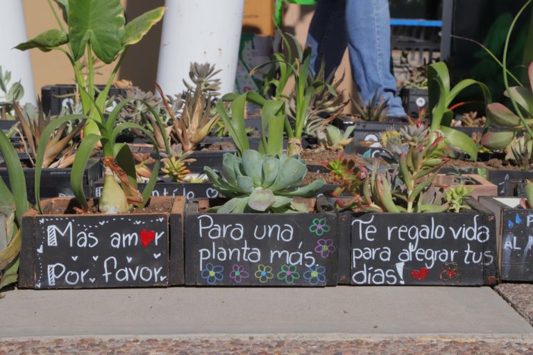 Éxito en el Trueque Ambiental de la UAA para apoyar a niños con cáncer