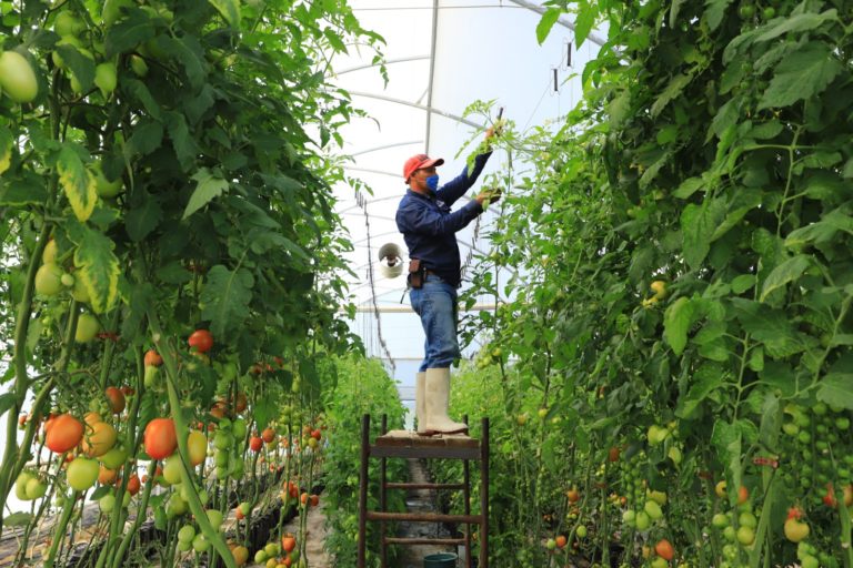 UAA realizó con éxito el 5º Congreso Internacional virtual del Centro de Ciencias Agropecuarias