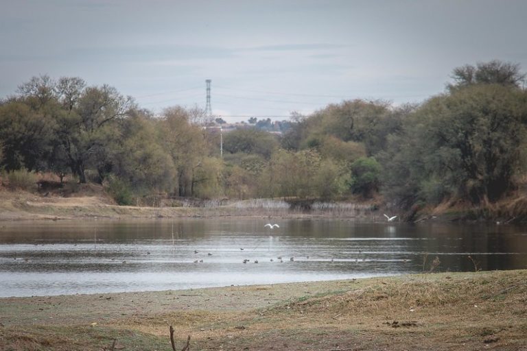Se lava las manos la Comisión de Obras Públicas sobre construcción en Bosque de Cobos