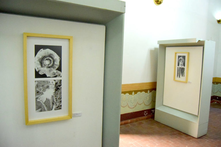 Experimentación lumínica una muestra en Aguascalientes de la fotografa Cyntia Sánchez Navarro