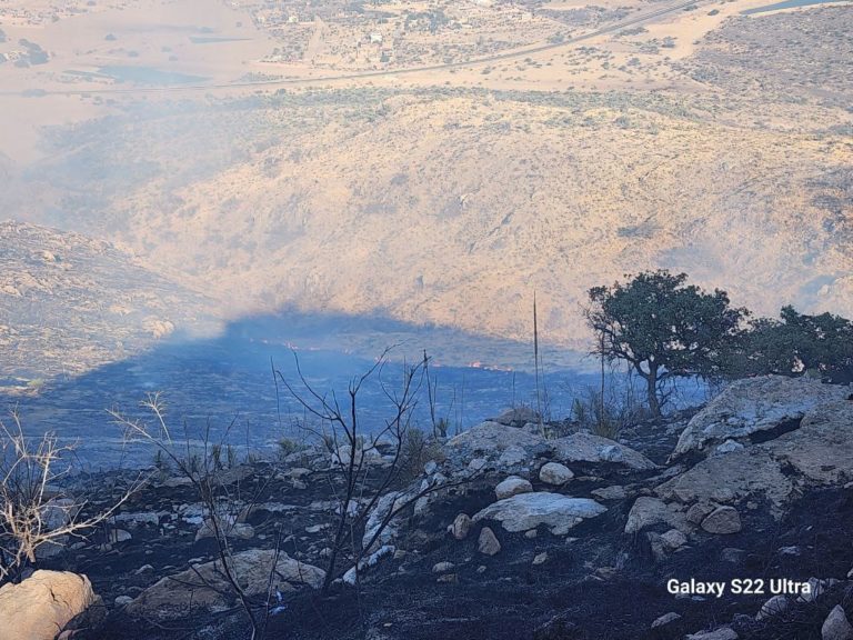 Incendio en el Cerro del Muerto 