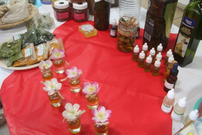 Jesús María concluye Curso de Herbolaria y Medicina Tradicional 