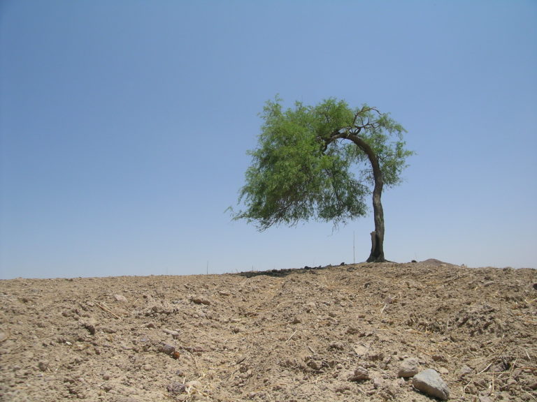 Malgré Tout/ Imágenes de Aguascalientes 