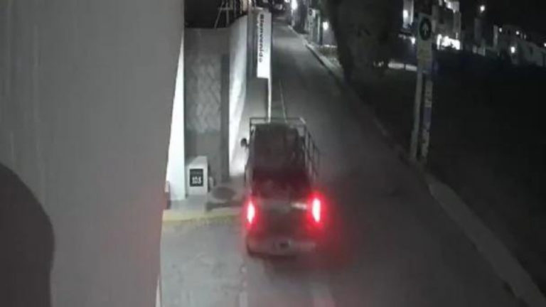 Nuevo escándalo por maltrato animal en Puebla