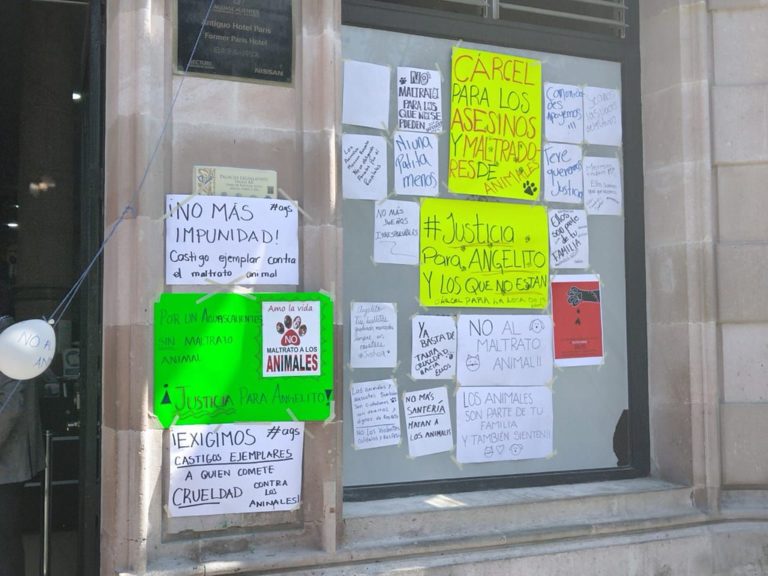 Comunidad Defensora de Animales decidió levantar el plantón frente al Congreso de Aguascalientes