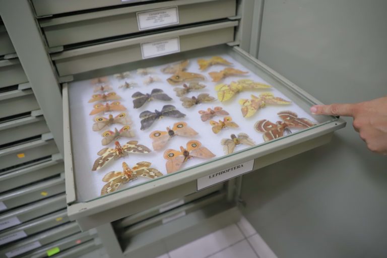 UAA cuenta con la Colección Zoológica más nutrida de Aguascalientes