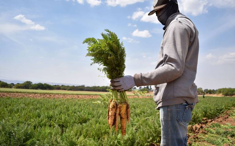 SEDRAE presenta el foro Agroalimentario a representantes de productores