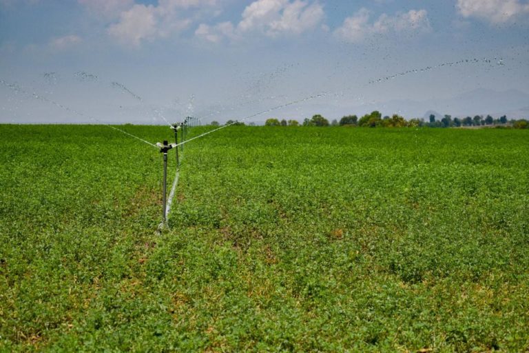 Dispone Tere Jiménez más apoyos al campo para enfrentar la sequía