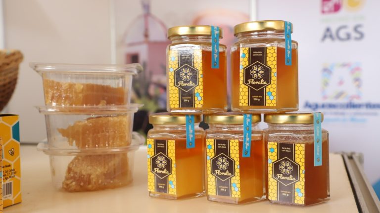 Donde comprar productos “Hecho en Aguascalientes”