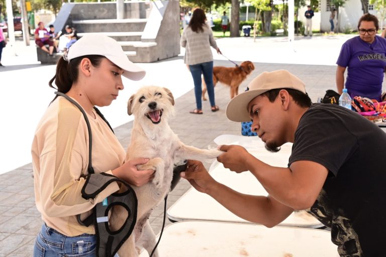 Anuncian servicios veterinarios caninos en la comunidad de Malacate en Aguascalientes