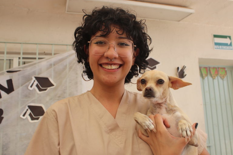 Servicios veterinarios gratuitos en Rincón de Romos: fechas y lugar