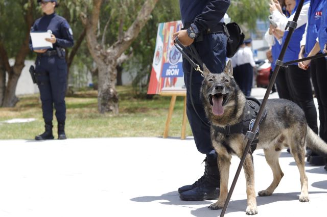 Iron, integrante de la unidad canina, se despide con una última demostración en Aguascalientes