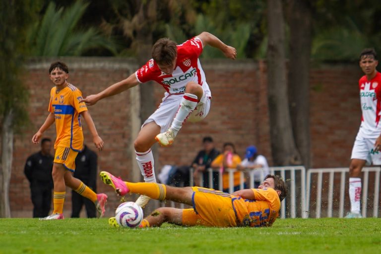 Encuentro con Tigres culminó con triunfo para los Rayos 3-1 
