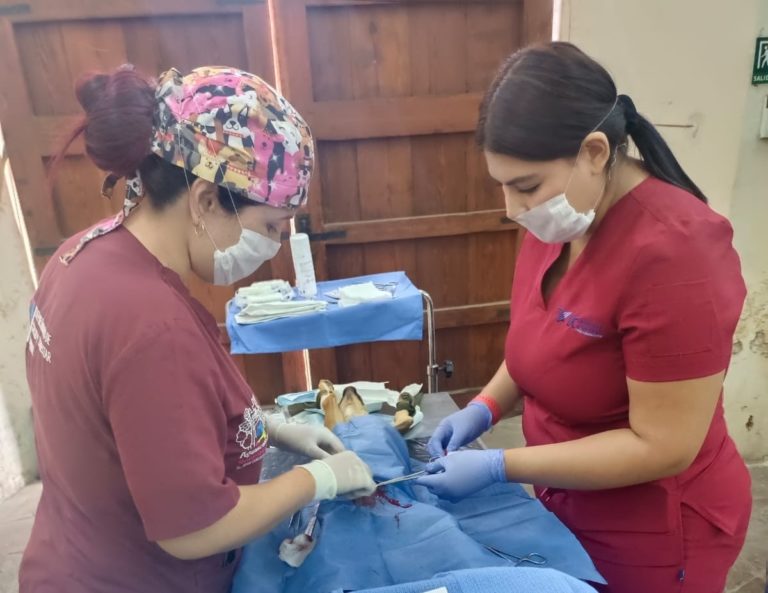 Coordinación General de Salud realizó campaña de esterilización gratuita en Cañada Honda 