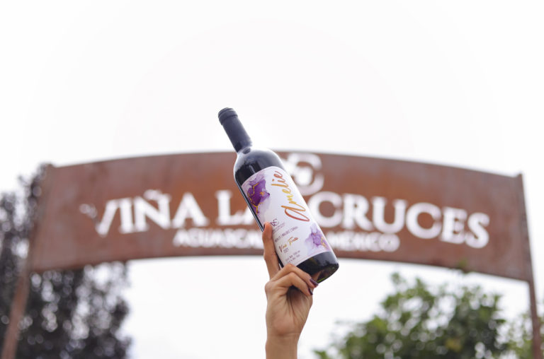 Lo que puedes hacer este martes y miércoles en el “Vive las Vendimias 2023” de la Ruta del Vino