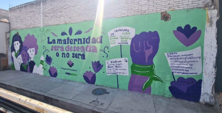 Congreso de Aguascalientes deberá apegarse a lo que dicte la Ley sobre el acceso a un aborto seguro 