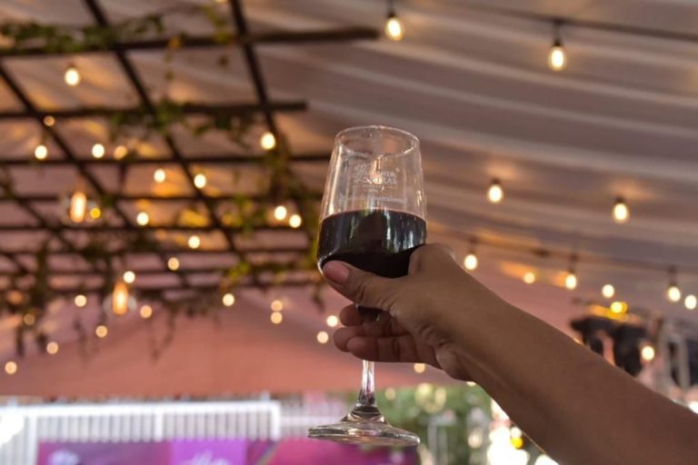 La agenda de “Vive las Vendimias 2023” de la Ruta del Vino este fin de semana en Aguascalientes