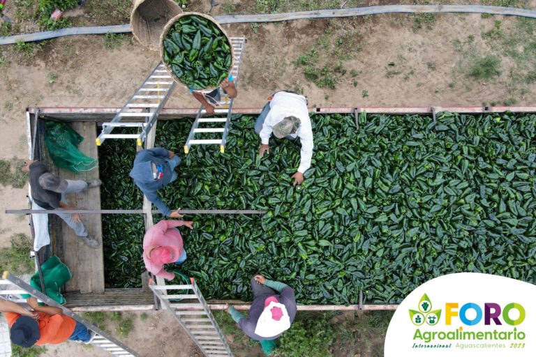 Productores tendrán acceso gratuito para participar en el foro Agroalimentario Internacional en Aguascalientes