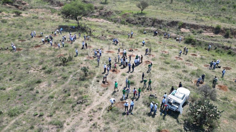 Municipio de Aguascalientes emprende acciones de reforestación en el Bosque de los Cobos