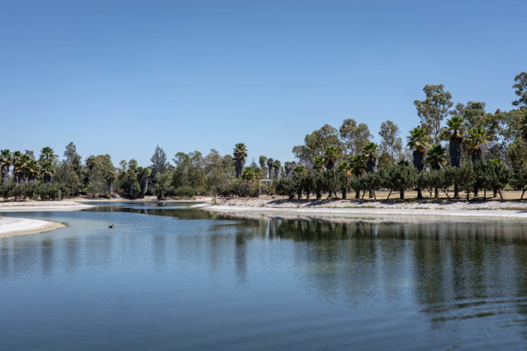 SSMAA Aguascalientes invita a celebrar “La Vida en la Muerte 2023” en el parque Rodolfo Landeros Gallegos 