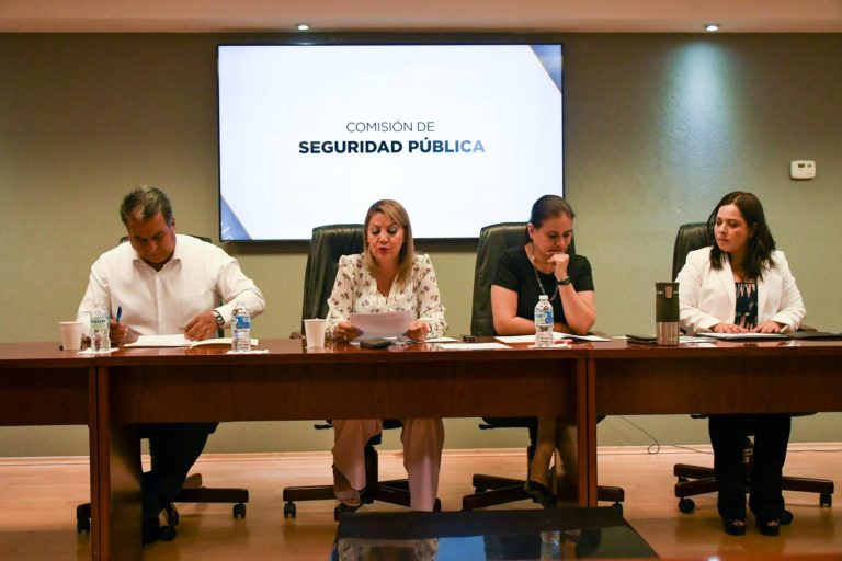 Comisión de Seguridad Pública de Aguascalientes impulsó iniciativas para propiciar clima de paz
