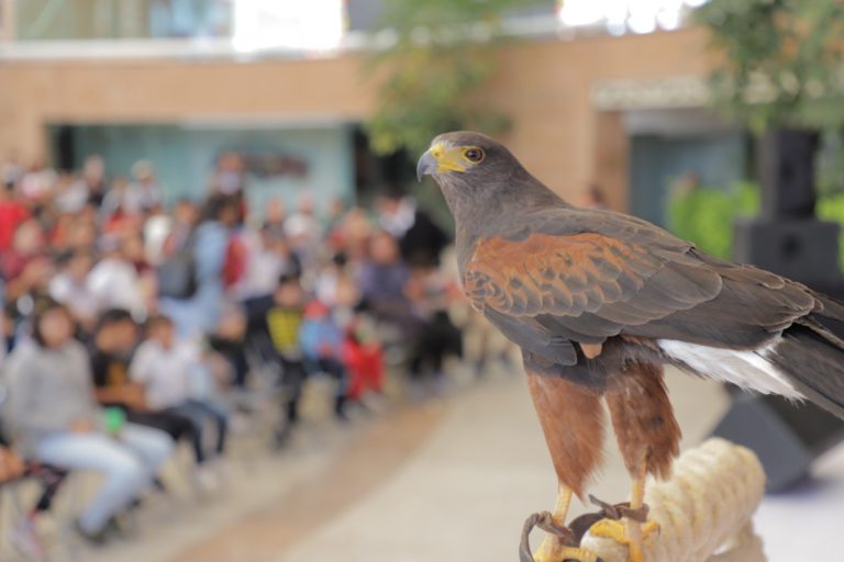 Niños de Calvillo visitaron el Museo Descubre de Aguascalientes