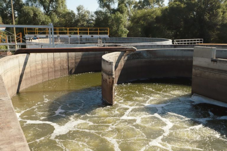 Aún falta consolidar el proyecto de reúso de agua: Altamira Acosta