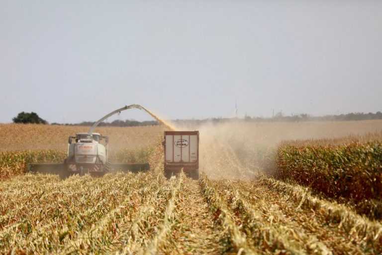Consolidación del Distrito de Riego 001 en Aguascalientes