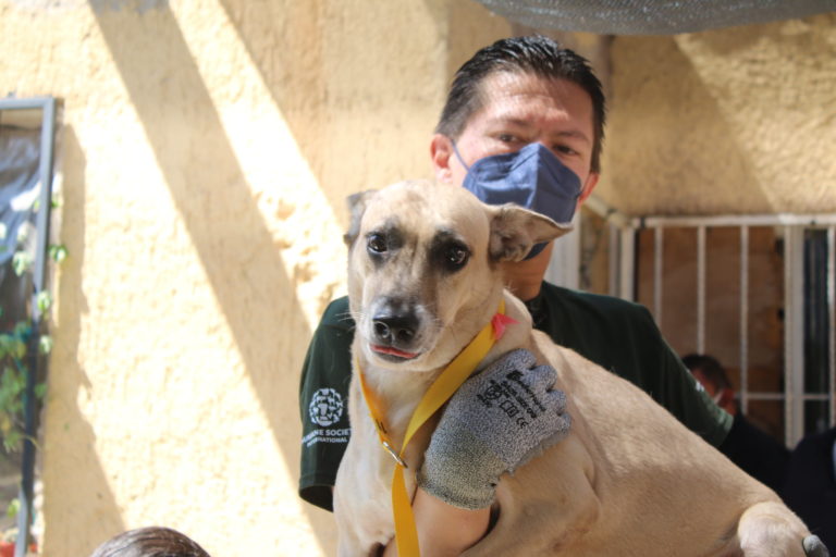 PROESPA llevará servicios veterinarios gratuitos a Pabellón de Arteaga, Aguascalientes