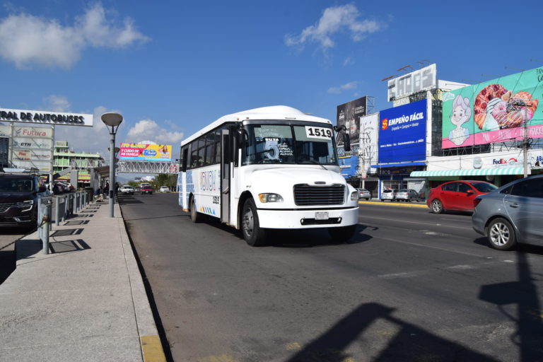 Servicio de transporte público operará en Nochebuena y Navidad
