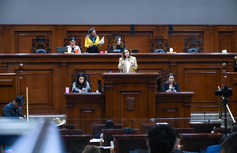 Omisión de autoridades de Aguascalientes por violencia hacia una mujer debería de ser sancionada: Sanjuana Martínez