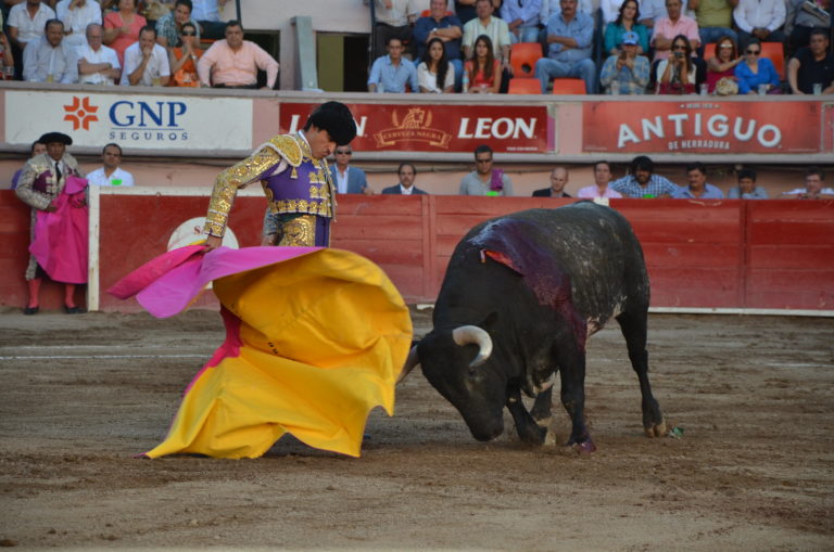 En manos de los legisladores la prohibición de corridas de toros en Aguascalientes