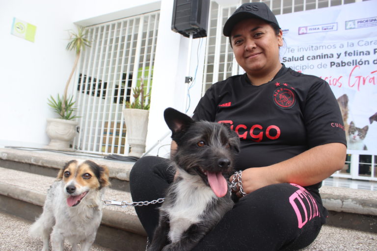 Más de 17 mil dueños de mascotas de Aguascalientes participaron en acciones a favor del bienestar animal