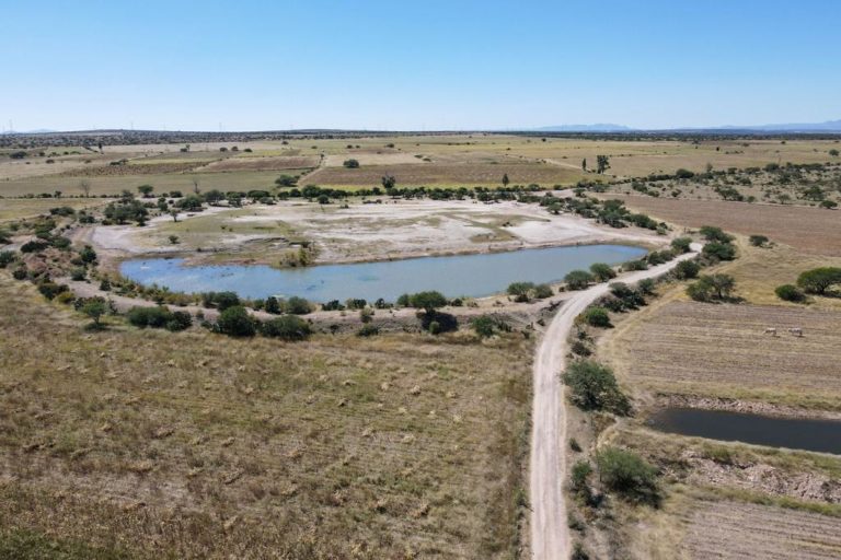 Necesario, incorporar mecanismos para la atención de las sequías en el territorio nacional 
